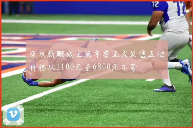 深圳新鹏城主场年票正式发售五档价格从1100元至6800元不等