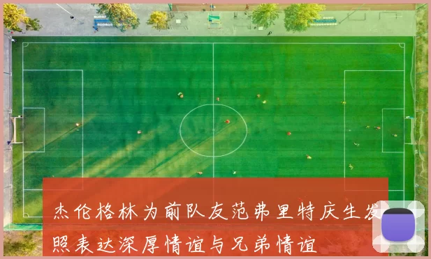 杰伦格林为前队友范弗里特庆生发照表达深厚情谊与兄弟情谊