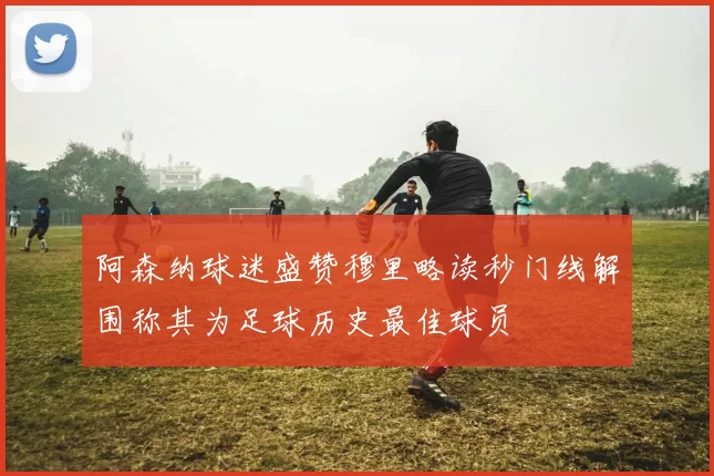 阿森纳球迷盛赞穆里略读秒门线解围称其为足球历史最佳球员