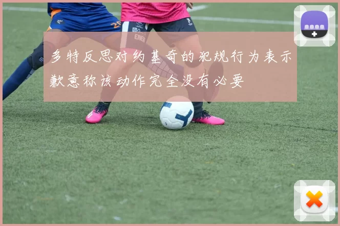 多特反思对约基奇的犯规行为表示歉意称该动作完全没有必要