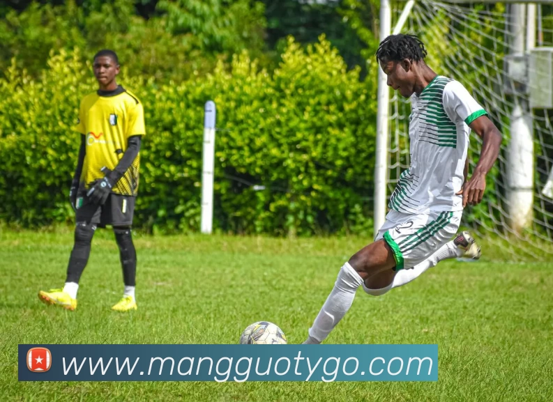 芒果体育APP 高清赛事图